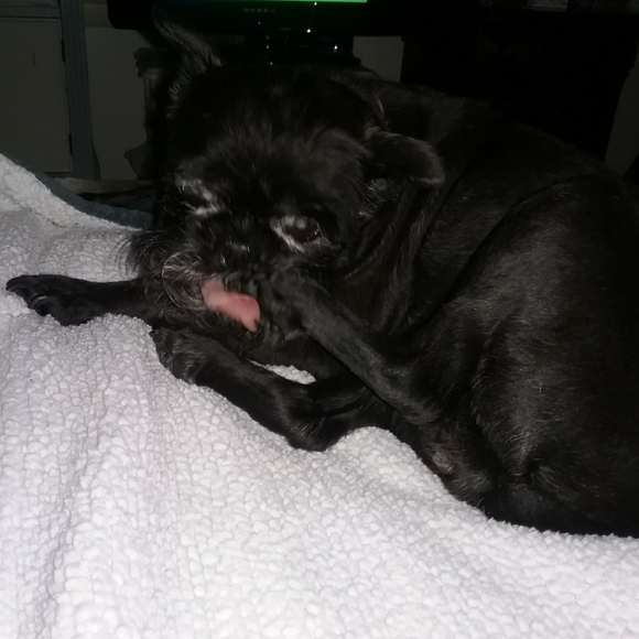 Meet your Posher, Susan - Picture 2 of 2